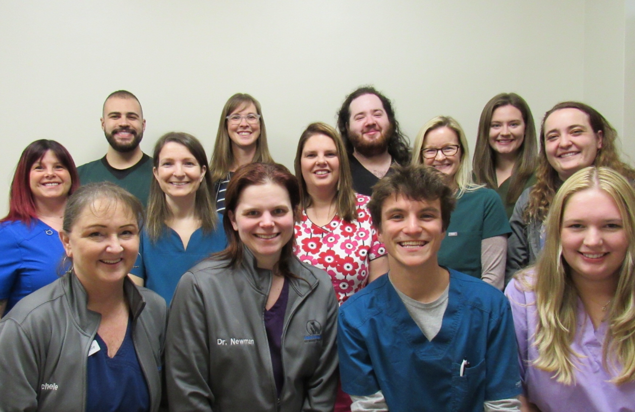 Central Providence Veterinary Hospital Charlotte Veterinarians