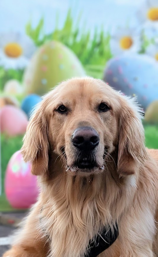 Easter Photos Sammi