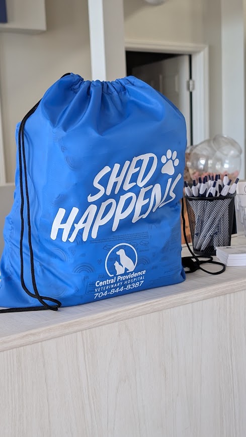 Central Providence backpack