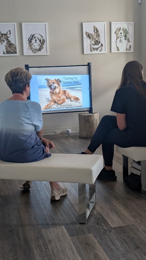 Pet owners at senior pet education event