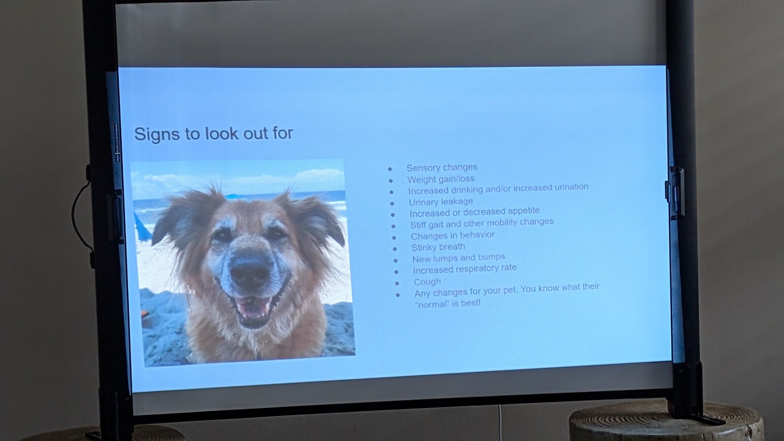 Senior Pet Education for pet owners at Central Providence