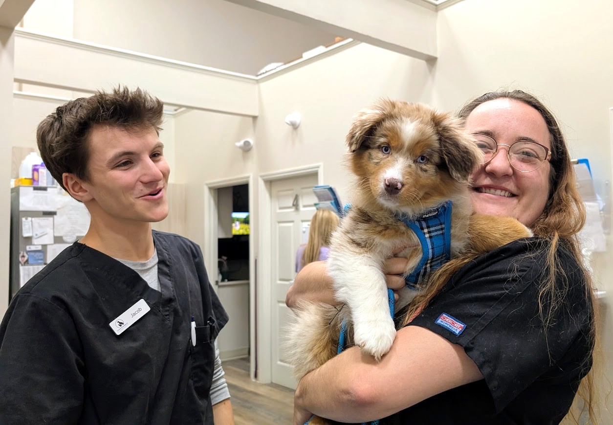 Bailey with the Central Providence Vet team Bailey with the Central Providence Vet team