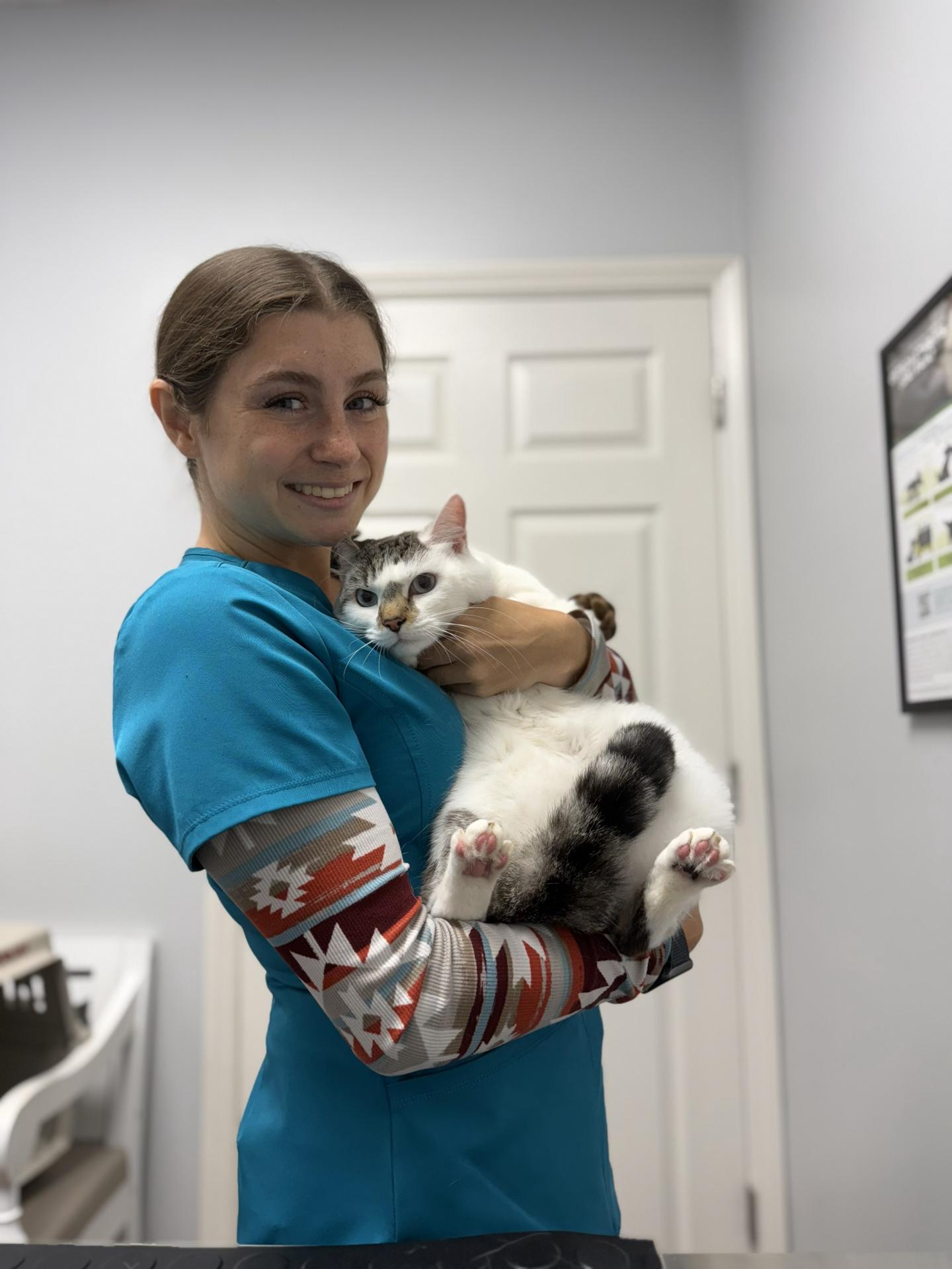 Cat cuddling with employee at Central Providence Vet