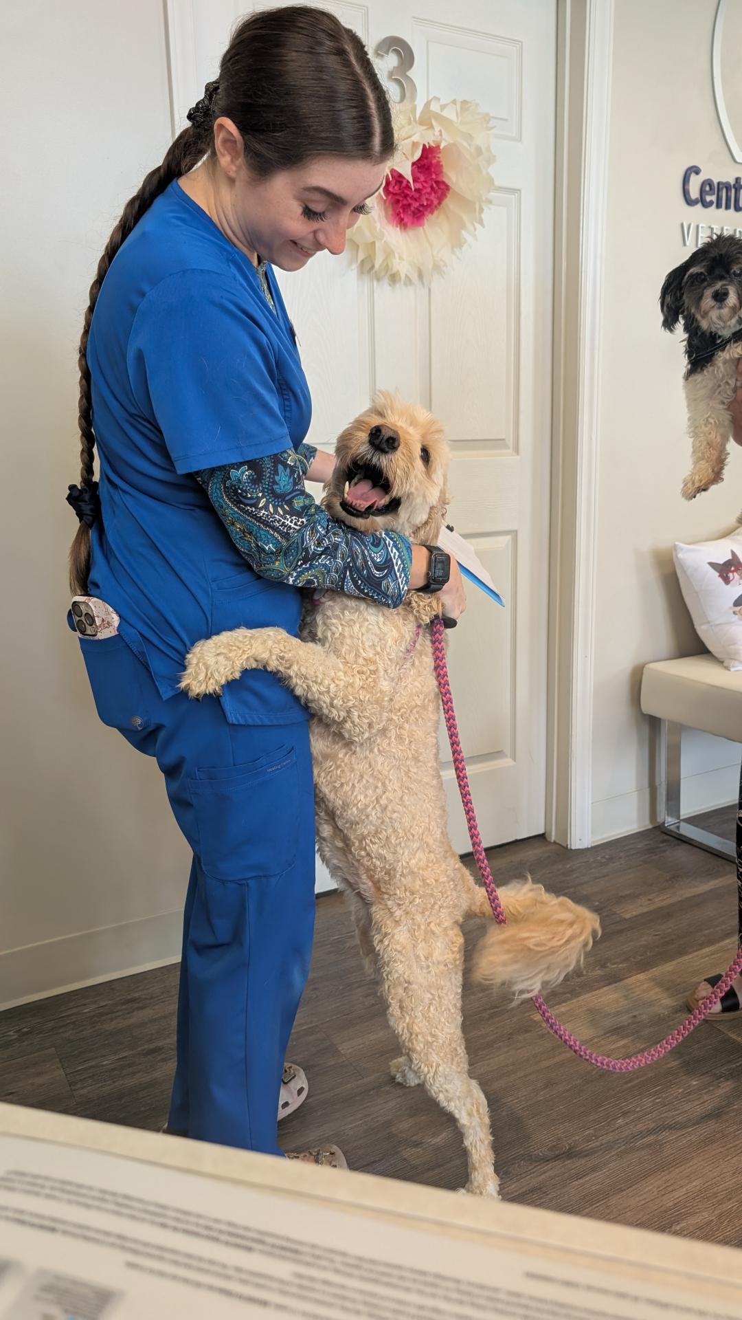 Dog hugging an employee at Central Providence Vet 
