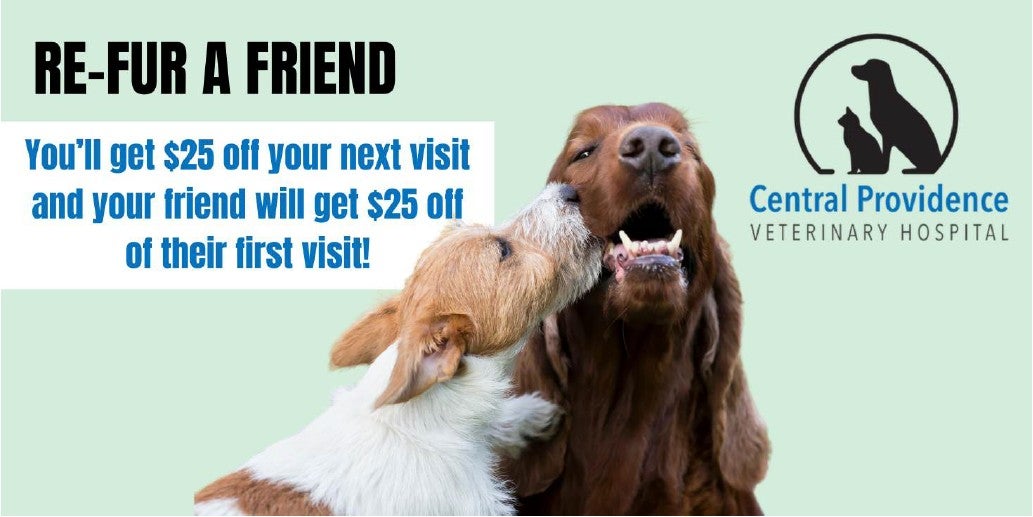 Refer A Friend Discount