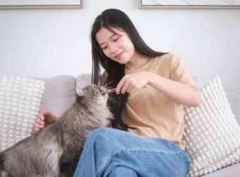 How to Tell if Your Cat Is Happy: 6 Healthy Signs to Watch For