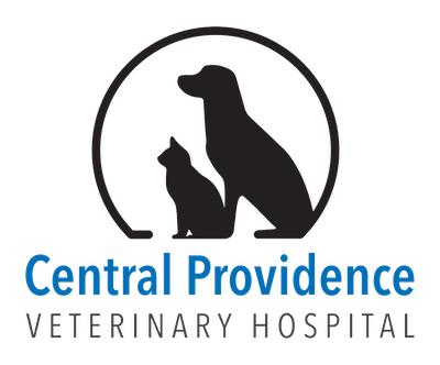 Veterinary Services | Central Providence Veterinary Hospital